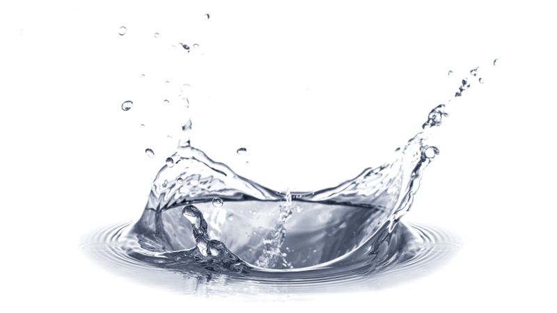 An actionable, science-based guide on how to do a water fast